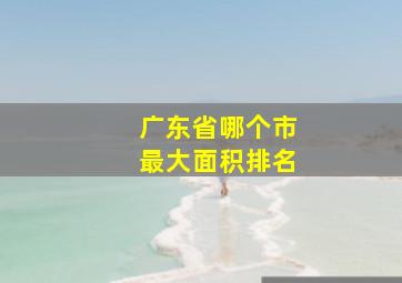 广东省哪个市最大面积排名