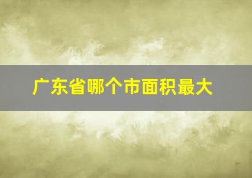 广东省哪个市面积最大