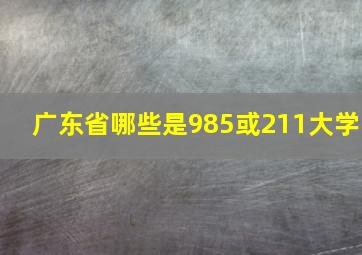 广东省哪些是985或211大学