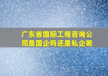 广东省国际工程咨询公司是国企吗还是私企呢