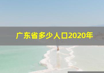 广东省多少人口2020年