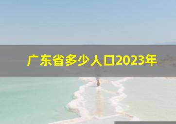 广东省多少人口2023年