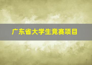 广东省大学生竞赛项目