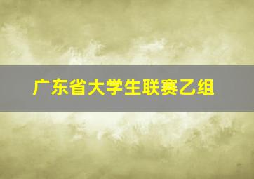 广东省大学生联赛乙组