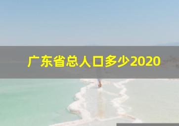 广东省总人口多少2020