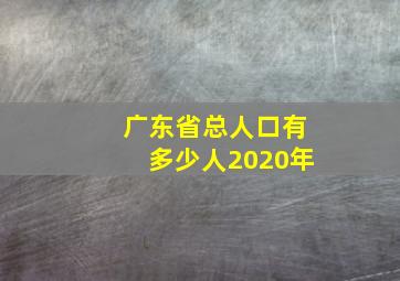 广东省总人口有多少人2020年