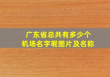 广东省总共有多少个机场名字呢图片及名称