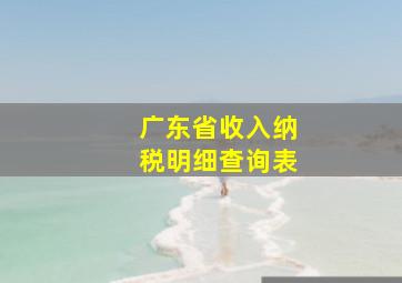 广东省收入纳税明细查询表