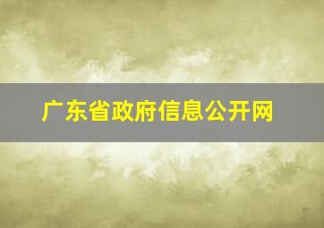 广东省政府信息公开网