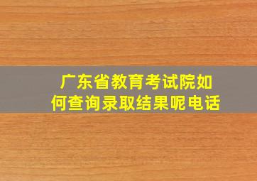 广东省教育考试院如何查询录取结果呢电话