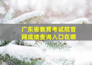 广东省教育考试院官网成绩查询入口在哪