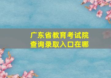 广东省教育考试院查询录取入口在哪