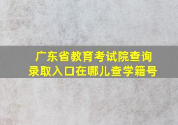 广东省教育考试院查询录取入口在哪儿查学籍号