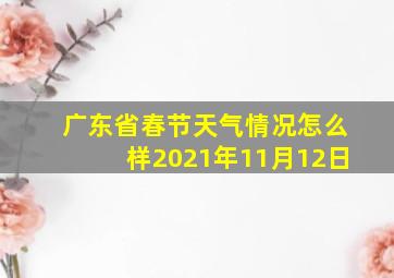 广东省春节天气情况怎么样2021年11月12日