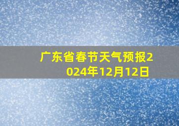 广东省春节天气预报2024年12月12日