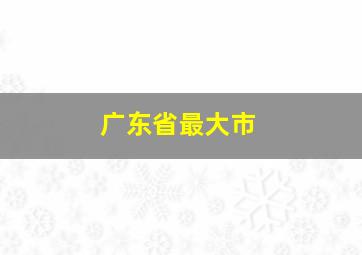 广东省最大市