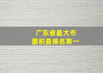 广东省最大市面积县排名第一