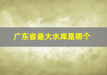 广东省最大水库是哪个