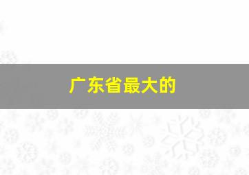 广东省最大的