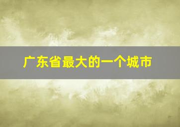 广东省最大的一个城市