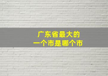 广东省最大的一个市是哪个市