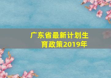 广东省最新计划生育政策2019年