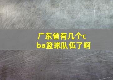 广东省有几个cba篮球队伍了啊