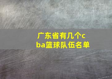 广东省有几个cba篮球队伍名单