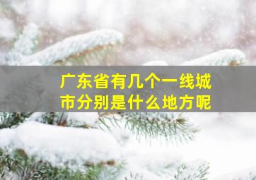 广东省有几个一线城市分别是什么地方呢