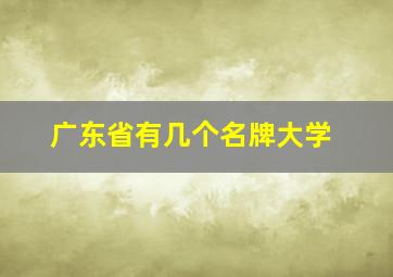 广东省有几个名牌大学