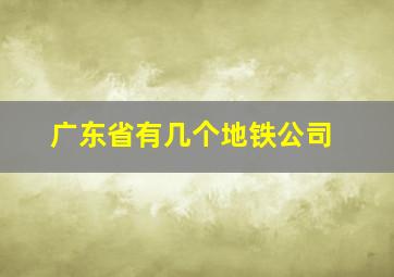 广东省有几个地铁公司