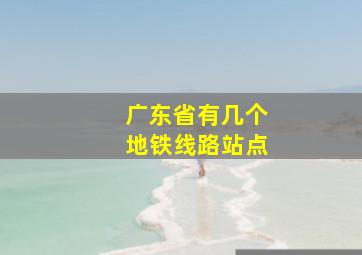 广东省有几个地铁线路站点