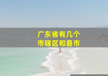 广东省有几个市辖区和县市