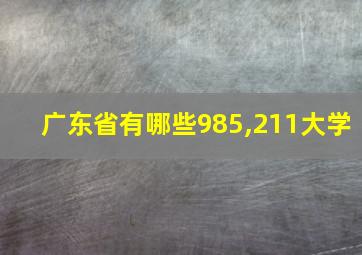 广东省有哪些985,211大学