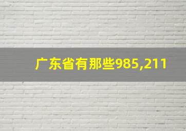 广东省有那些985,211