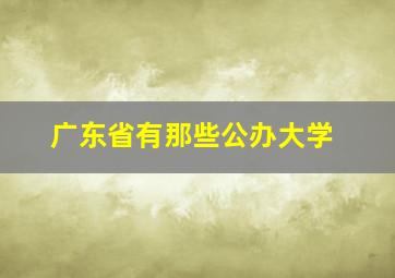 广东省有那些公办大学