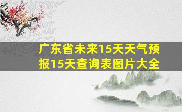 广东省未来15天天气预报15天查询表图片大全