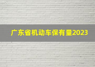 广东省机动车保有量2023