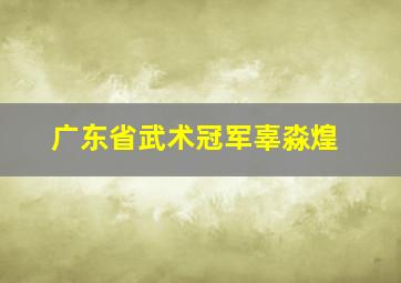 广东省武术冠军辜淼煌