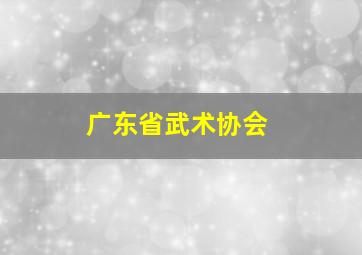 广东省武术协会