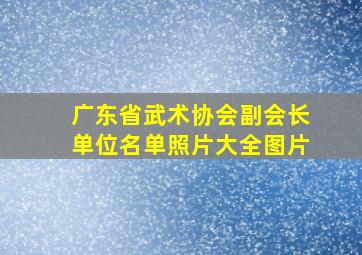 广东省武术协会副会长单位名单照片大全图片