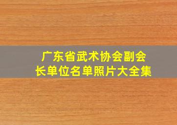 广东省武术协会副会长单位名单照片大全集