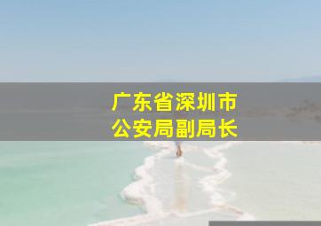 广东省深圳市公安局副局长