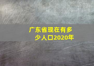 广东省现在有多少人口2020年