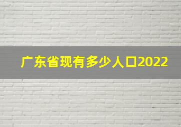 广东省现有多少人口2022