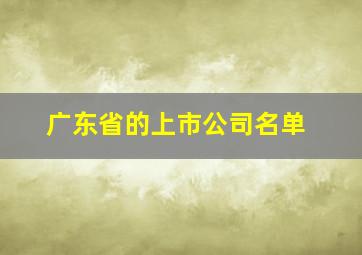 广东省的上市公司名单