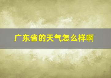 广东省的天气怎么样啊