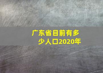 广东省目前有多少人口2020年