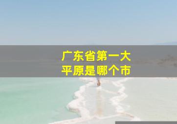 广东省第一大平原是哪个市