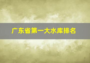 广东省第一大水库排名